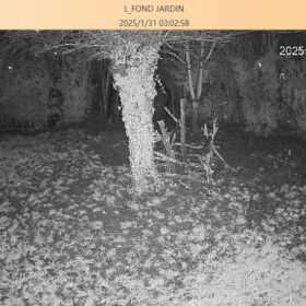 Imou Cruiser 3K(5MP) Lot de 2 Caméra Surveillance Extérieure WiFi 360° Étanche IP66 Vision Nocturne Couleur 30M, Détection Humaine photo review